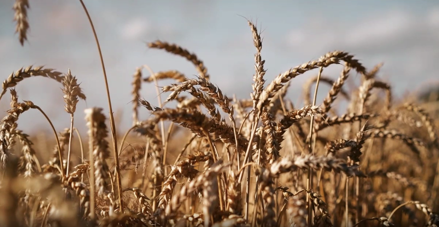 On-the-Go Essentials